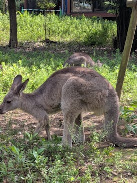 こども動物自然公園（埼玉県公園緑地協会）に投稿された画像（2025/9/21）