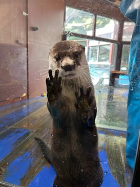 ゼロ距離水族館 伊勢シーパラダイスに投稿された画像（2025/9/21）