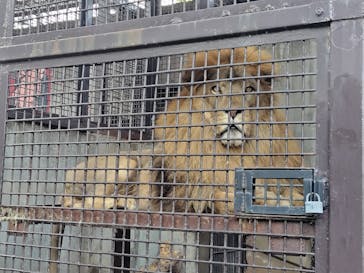 宇都宮動物園に投稿された画像（2025/9/21）