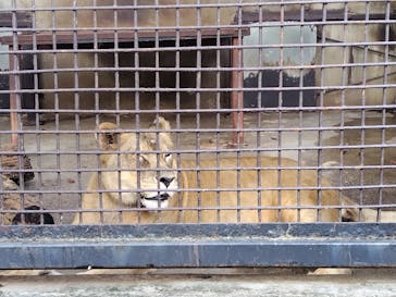 宇都宮動物園に投稿された画像（2025/9/21）