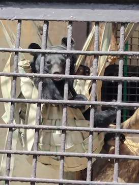 宇都宮動物園に投稿された画像（2025/9/21）