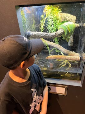 NARA IKIMONO MUSEUMに投稿された画像（2025/9/21）