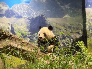 恩賜上野動物園に投稿された画像（2025/9/21）