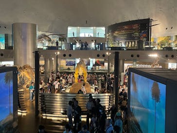 福井県立恐竜博物館に投稿された画像（2025/9/21）