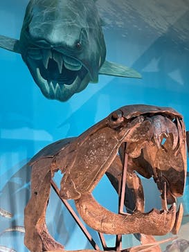 福井県立恐竜博物館に投稿された画像（2025/9/21）