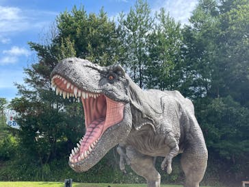 福井県立恐竜博物館に投稿された画像（2025/9/21）