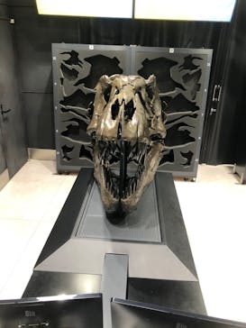 福井県立恐竜博物館に投稿された画像（2025/9/21）