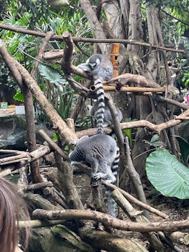 那須どうぶつ王国に投稿された画像（2025/9/21）