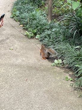 那須どうぶつ王国に投稿された画像（2025/9/21）