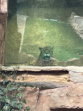 那須どうぶつ王国に投稿された画像（2025/9/21）