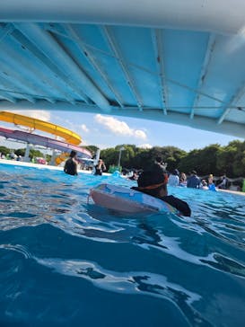 稲毛海浜公園（SUNSET BEACH PARK INAGE）に投稿された画像（2025/9/21）