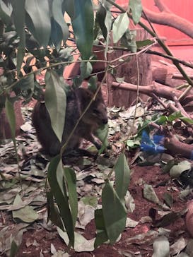 こども動物自然公園（埼玉県公園緑地協会）に投稿された画像（2025/9/21）