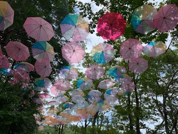 ムーミンバレーパークに投稿された画像（2025/9/21）