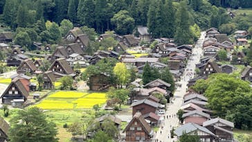 ホワイトリングに投稿された画像（2025/9/21）