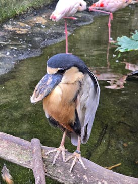 那須どうぶつ王国に投稿された画像（2025/9/21）