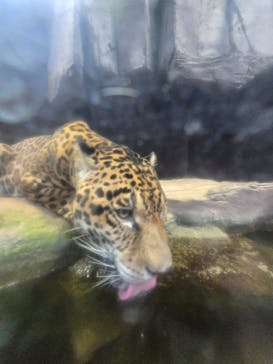 那須どうぶつ王国に投稿された画像（2025/9/21）