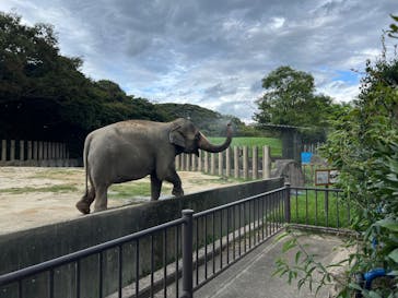 千葉市動物公園に投稿された画像（2025/9/21）