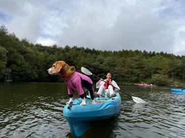 八ヶ岳アウトドア・アクティヴィティーズに投稿された画像（2025/9/21）