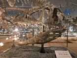 福井県立恐竜博物館に投稿された画像（2025/9/21）