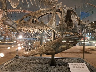 福井県立恐竜博物館に投稿された画像（2025/9/21）