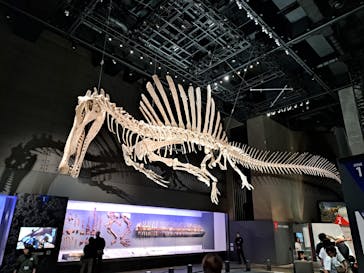 福井県立恐竜博物館に投稿された画像（2025/9/21）