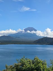 ガクロクマリンに投稿された画像（2025/9/21）