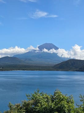 ガクロクマリンに投稿された画像（2025/9/21）