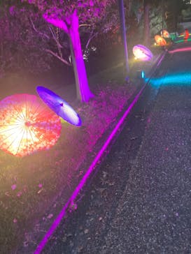 安城産業文化公園デンパークに投稿された画像（2025/9/21）