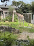 天王寺動物園に投稿された画像（2025/9/21）