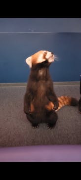 横浜・八景島シーパラダイスに投稿された画像（2025/9/21）