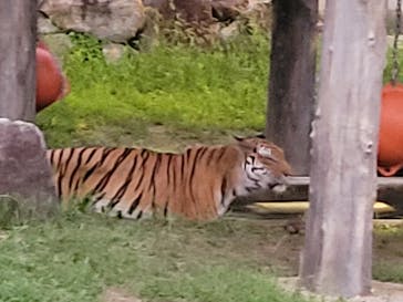 天王寺動物園に投稿された画像（2025/9/21）