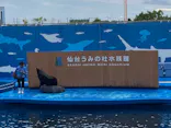 仙台うみの杜水族館に投稿された画像（2025/9/21）