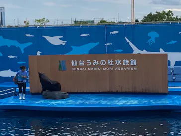 仙台うみの杜水族館に投稿された画像（2025/9/21）