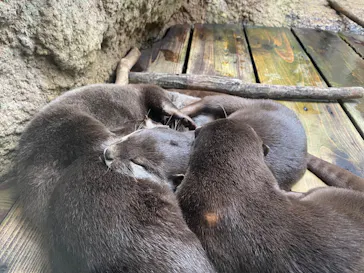 仙台うみの杜水族館に投稿された画像（2025/9/21）