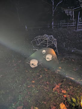 ニジゲンノモリに投稿された画像（2025/9/21）