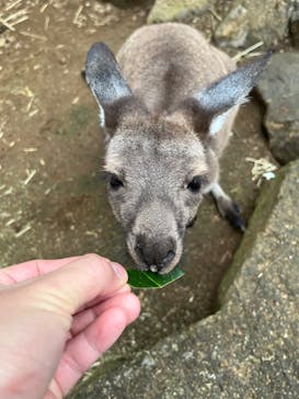 伊豆シャボテン動物公園に投稿された画像（2025/9/21）