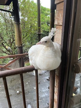 伊豆シャボテン動物公園に投稿された画像（2025/9/21）