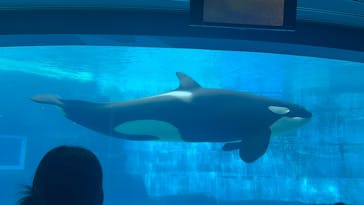 名古屋港水族館に投稿された画像（2025/9/21）