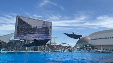 名古屋港水族館に投稿された画像（2025/9/21）