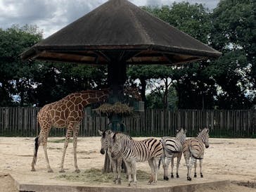 東武動物公園に投稿された画像（2025/9/21）