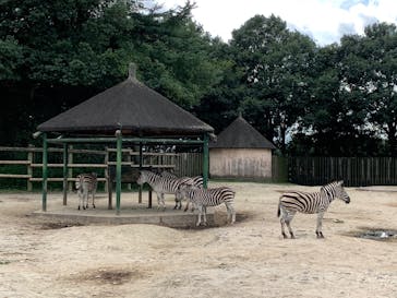 東武動物公園に投稿された画像（2025/9/21）