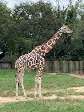 東武動物公園に投稿された画像（2025/9/21）