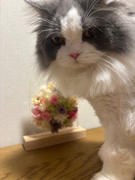 ずこうしつ〜sugamo〜に投稿された画像（2025/9/21）