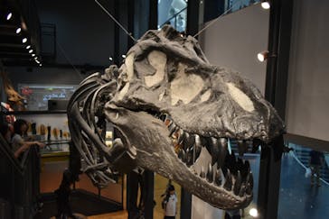 福井県立恐竜博物館に投稿された画像（2025/9/21）