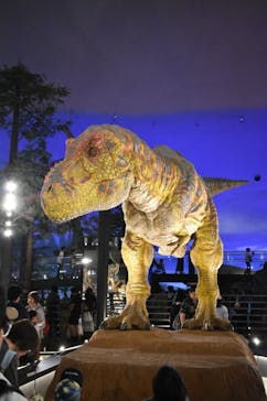 福井県立恐竜博物館に投稿された画像（2025/9/21）