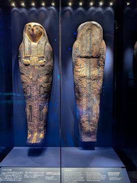 ACN ラムセス大王展 ファラオたちの黄金に投稿された画像（2025/9/21）