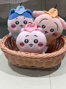 ちいかわパークに投稿された画像（2025/9/21）