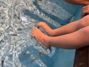 箱根小涌園ユネッサンに投稿された画像（2025/9/21）