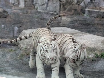 東武動物公園に投稿された画像（2025/9/21）