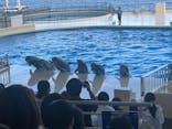 マリンワールド海の中道に投稿された画像（2025/9/22）